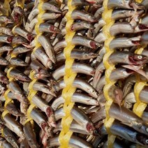 제이수산 팔팔한 속초 양미리 1kg (30미 내외) 반건조 양미리 1두름(20미), 반건조 1두름20미