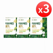 브레인 골드 약3개월분 포그 두뇌 에좋은 영양제 혈행 기능 개선제 기억력 포스파티딜세린