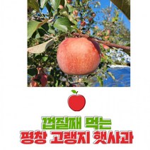 평창사과 껍질째먹는 고랭지사과 꿀부사사과 10kg 40과 내외 친환경햇부사, 상세페이지 참조