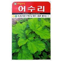 곰취 곤드레만큼 널리 알려진 산채종자 어수리 씨앗 50립