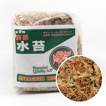 풍란 이끼 테라리움 만들기 재료 천연 칠레산 고급 수태 75g, 1개