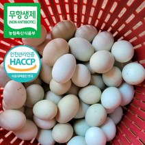 무항생제 계란 초란 청란 청계란 방사 유정란 30구 60구, 청란60구