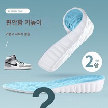 Z3JC 남녀공용 땀흡수 방취 통기 히든 키높이 인솔