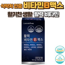 비타민 b 고함량 비타민b군 활성비타민 비타민 b군 비타민b12 활력비타민 비타민b고함량 활력 비타 비타민B 고함량 비타민, 1BOX, 90정
