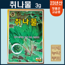 23년산 취나물 씨앗 3g- 국내생산종자 향이 진한재래종