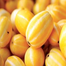 성주 참외 가정용 2.5kg 5kg 10kg (등급 - 상), 1box, [08]가정용 참외 5kg / 대과