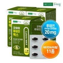 관절건강 엠에스엠 2000 120정x6개(12개월) MSM, 굿아이 루테인 맥스 30캡슐x3개(