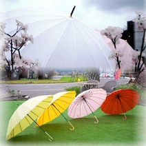 무배 예쁜 올리브영 장우산 16살대 가볍고 튼튼한 손잡이 편한 긴우산 인스타 촬영 에버랜드 우산