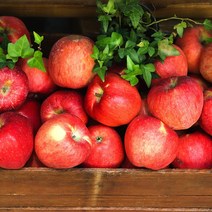 경북 산지직송 당도선별 가정용 정품 꿀사과 부사사과 2kg 3kg 5kg 10kg, (가정용) 5kg / 소꼬마과 / 29-33과