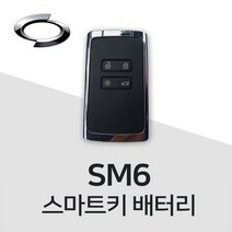 sm6 스마트키 건전지 차키 배터리 밧데리 약, 10개