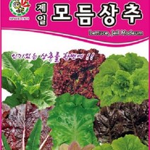[가람종묘사] 모듬상추 씨앗(9가지 품종을 혼합하여 만든 상품 다양한 상추 재배 가능)