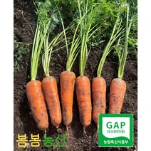 유기농당근3kg 추천 상품 (판매순위 가격비교 리뷰)