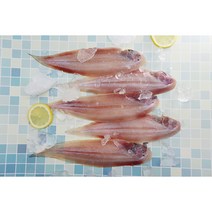 서천 반건조 박대 서대 말린 생선 생산자직송, 특대(33cm 내외), 10미