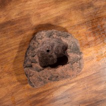 식집사 취미 DIY 석부작 화산석 화분 1호 악취 습기제거