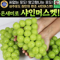 상주 온새미로 샤인머스켓 4kg 6-8수