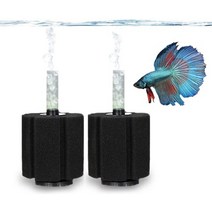 어항관리 sungrow 10갤런 betta 스펀지 필터 수중 센터 수족관 필터 공기 펌프(포함되지 않음)에 부착하여 작동 열대어 앰프 작동 브리더 수족관 튀김 앰프에 적합 작은, 2 조각. 10갤런 2인치 베이스