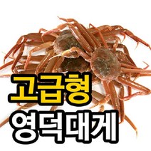 [영덕 강구항]영덕대게 고급형_수율70~80%미만/마리당300~350g, 7마리