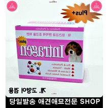 강아지파우더영양제 기운없는고양이 비타민 강아지한테좋은음식 애완견체력강화 펫영양관리