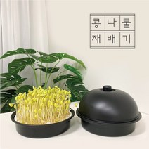 감성편의점 집에서 콩나물 키우기 재배기 기르기 세트 키트 어린이집 유치원 초등학교 가정용, 4)노란콩나물콩만250g(키트추가해주세요)