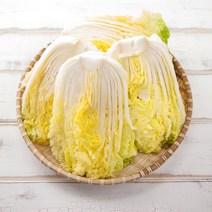 (예약중)유기농 절임배추/10kg/무료배송, 5)11월10일 목요일