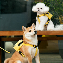 강아지 사각 자수 디테일 산책가방 하네스 강아지용 백팩 똥츄 가방(하네스 리드줄 포함), M, 옐로우베어