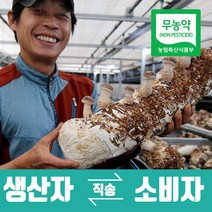 송화버섯 송고버섯 송향버섯 생산자 산지직송 특상품 자연밭담 송이 송향 버섯, 상품 500g, 1개