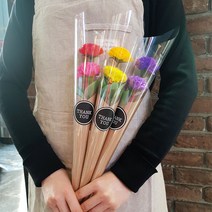 흰내 기념일 비누꽃 카네이션 두송이 크라프트 포장 꽃다발 3컬러 택1, 레드