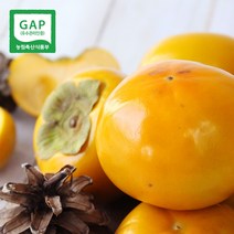 [생산자직송] 창원 부유 단감 3kg, 중 3kg