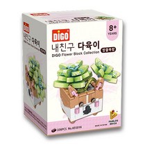 디고 내친구 다육이 8종 엑스플렌트 재테크 옥탑방 다육식물 예쁜, 상세페이지 참조