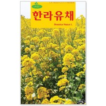 꽃씨 씨앗 택 1_ 흰민들레/꽃양귀비/과꽃/금잔화/공작초/나팔꽃/봉선화/백일홍/코스모스/해라바기 등, 145번 한라유채 30g