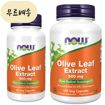 나우 500mg 60 120캡슐 올리브잎 추출물 60캡슐, 1개, 60개