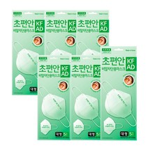 초편안 비말차단 마스크 대형 5매입 X 6개 총 30매, 비말차단 마스크 대형 5매 6개 (
