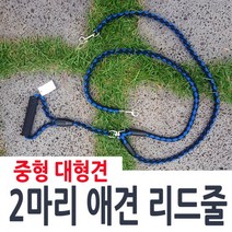 [624C]JH 애견 트윈리드줄★포장훼손반품불가★, ★옵션확인必오렌지