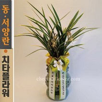 치타플라워 동양란 황룡관 [CD06-011] 승진 개업 축하 난 동양난 영전 취임 생일 선물 화분 고급 란 전국 당일 배송 꽃배달