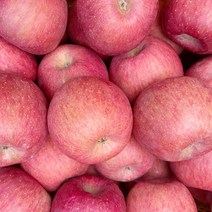 디안몰 청송사과 꿀사과 소과, 10kg, 1개