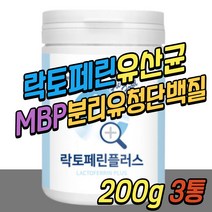 시니어 분리 유청 농축 단백질 락토페린 파우더 MBP 엠비피 유단백 분말 가루 덴마크 밀크 칼슘 유산균 WPC WPI 중년 30대 40대 50대 60대 70대 여자 여성 남자 남성