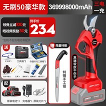 독일기술 충전식 전동 전지 가위 고지 장대 다목적 과수 나무 꽃 가지치기 조경 리튬, 50 고급 모델 369만mAh 배터리 3개