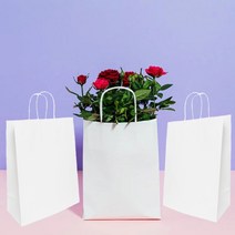디자인랩 벌크 화이트 트위스트백 2호(1봉10개입) 튼튼한 선물 고급 아트지 무광 종이백 심플