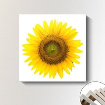 해바라기 그림 돈들어오는 액자 풍수 인테리어 컨버스