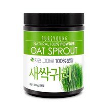 퓨어영 새싹귀리 분말 가루 300g 귀리새싹 국산, 1통