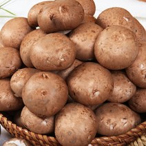 보령머쉬팜 포타벨라버섯(500g/1kg/2kg), 포타벨라 특1kg