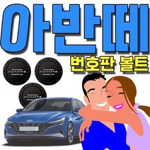 7세대 아반떼 차종 로고로 제작된 특별한 번호판 볼트