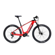명품 전기 자전거 로드 twitter ebike m500 bafang mid drive electric bike nx-11speed 29er 알루미늄 마운틴 전자 250w 내장, 밝은 회색, nx11 m500 43v14a, 29 19