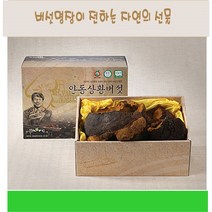 상황버섯 덩어리 목질진흙버섯 균사체 야생 자연 뽕나무상황버섯 효능 아가리쿠스 차 물 장수 펠리누스린테우스 본초강목 먹는방법 면역 365 ply 무농약 명품 류충현 국내산, 1kg