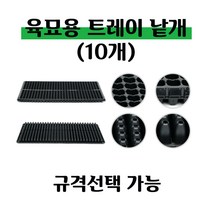 [좋은농자재] 육묘 트레이(낱개-10개), 105구