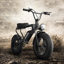 모든 지형 Ebike 오프로드 프리고 DK200 자전거 전기 자전거 비치 크루즈 1200w 팻 타이어 산악 전자 자전거