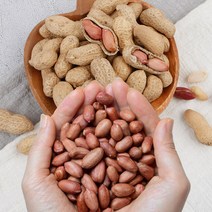 국산 땅콩 고소한 생땅콩 피땅콩 볶음 알땅콩 500g1kg, 볶음피땅콩 500g