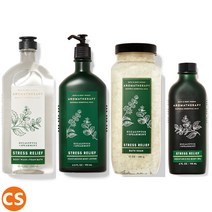 배쓰앤바디웍스 아로마테라피 유칼립투스 스피어민트 바디크림 샤워젤 바디로션 바디워시 AROMATHERAPY EUCALYPTUS SPEARMINT, 03 바디워시