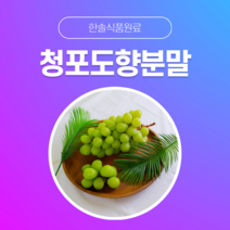 [한솔식품원료] 청포도향분말 (Muscat flavor powder) (분말 Type) [50g/100g/1kg/5kg/10kg], 100g, 1개