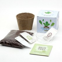 틔움세상 화분재배키트 팜팜농장시리즈 모종 키우기채소밭 텃밭 화분 재배 미니정원 정원 아파트 베란다 옥상 마당 모종 유기농 친환경 어린아이 학습 가든 가드닝 씨앗 모종 채소키우기, 고추